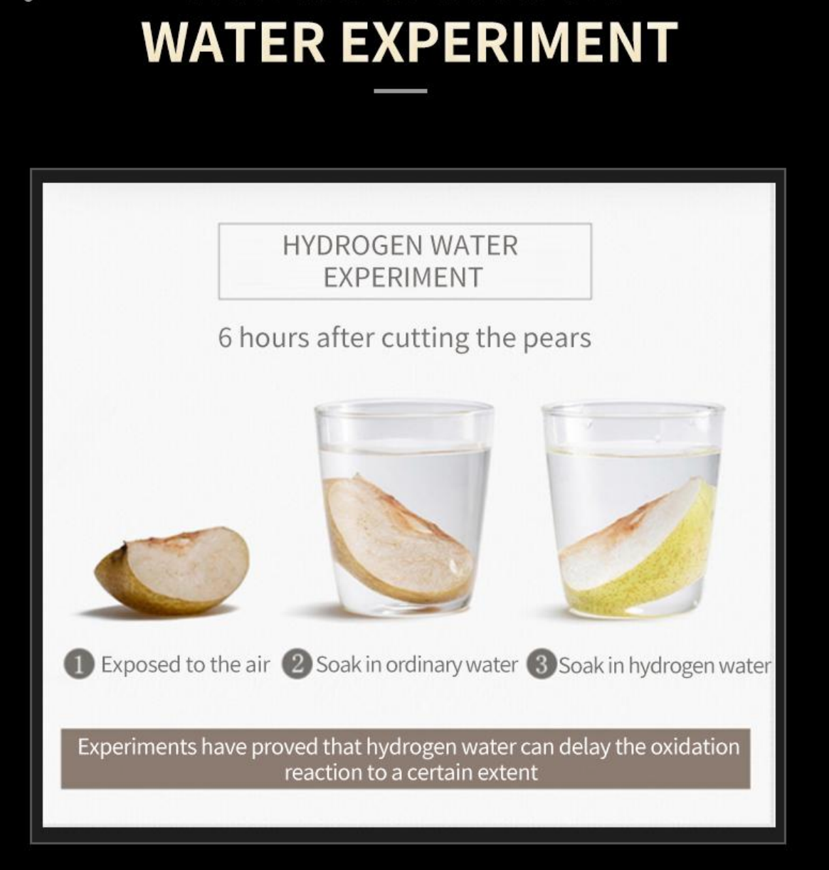 WOTD Hydrogenator Bottle